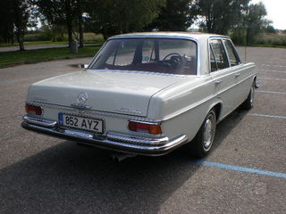 Размещенное изображение