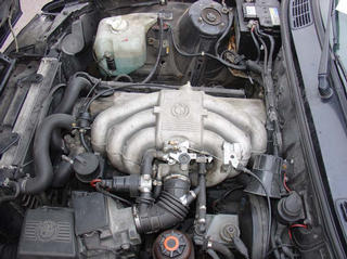 391335.jpg