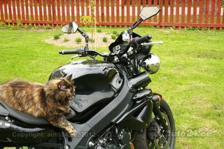 Triumph Speed 4 R4 73kW